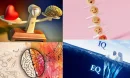Duygusal Zeka Nedir?