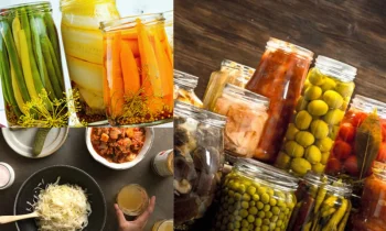 Fermente Gıdaların Günlük Beslenmeye Katkısı