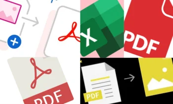 PDF to Excel Ne Demek?