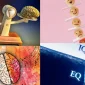 Duygusal Zeka Nedir?